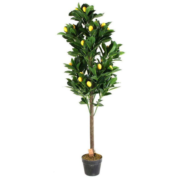 The Seasonal Aisle 120Cm Faux Lemon Tree in Pot Wayfair.co.uk